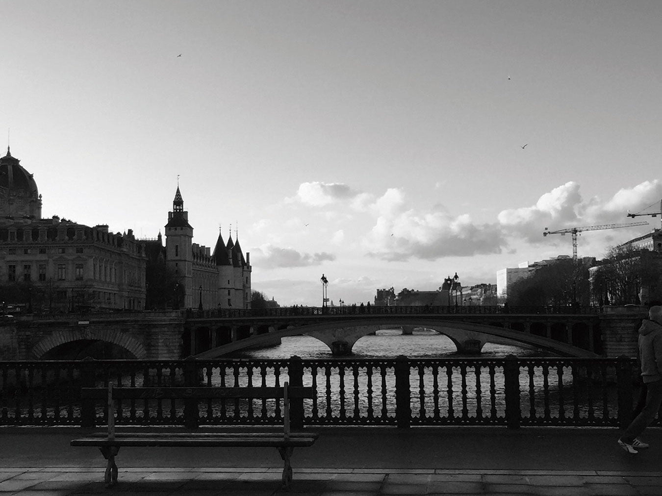 25-26AWリーエデルコートによるオンラインセミナーのご案内