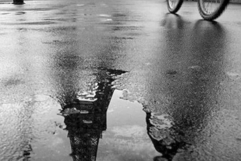 リーエデルコートによるフリーセミナー開催のお知らせ