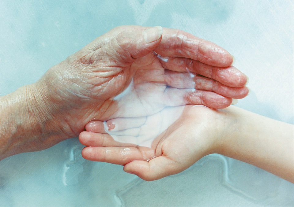 新しい活動THE WORLD HOPE FORUMが始まりました。