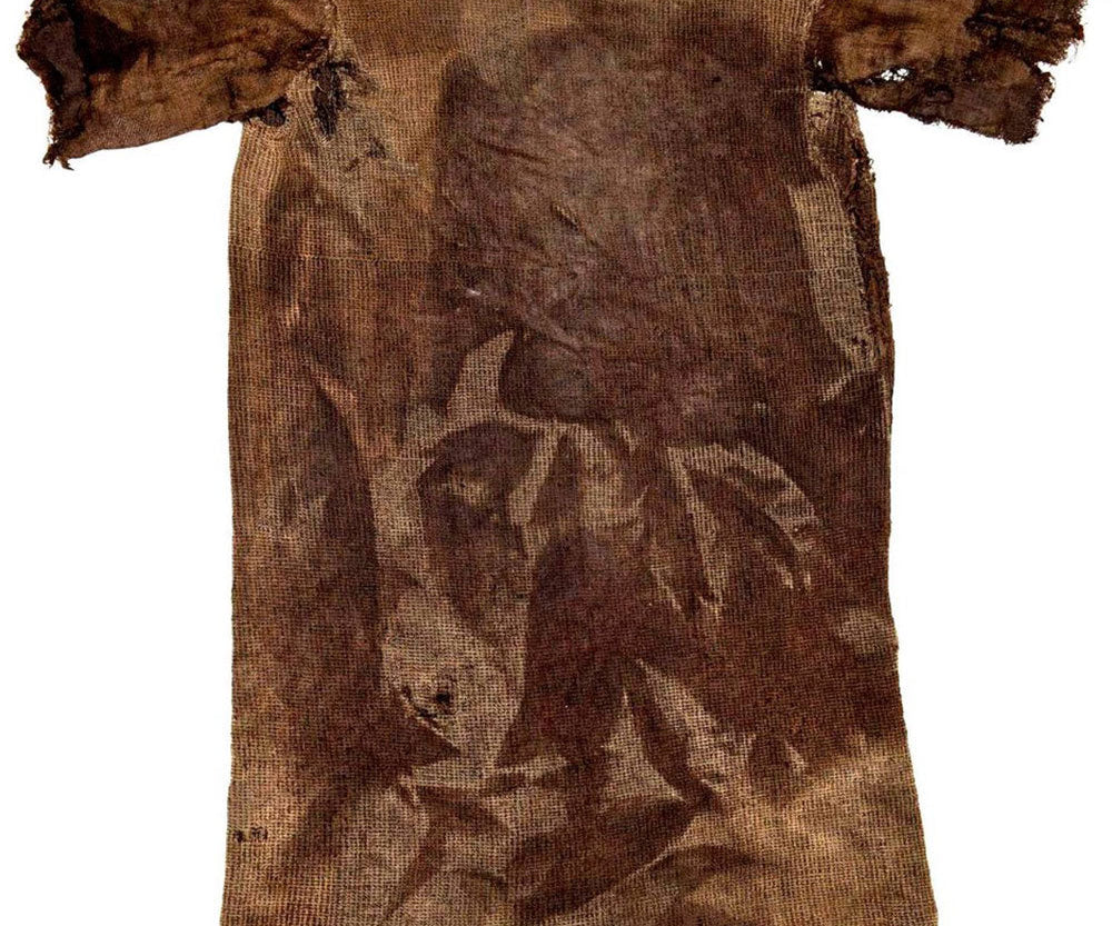 色の起源を紐解くことで未来を見出2023-24 AWシーズンセミナーのご案内