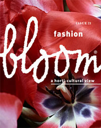 Bloom21.jpg