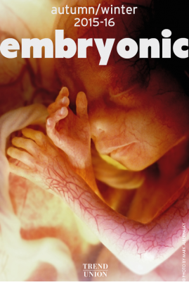 embryo01.png